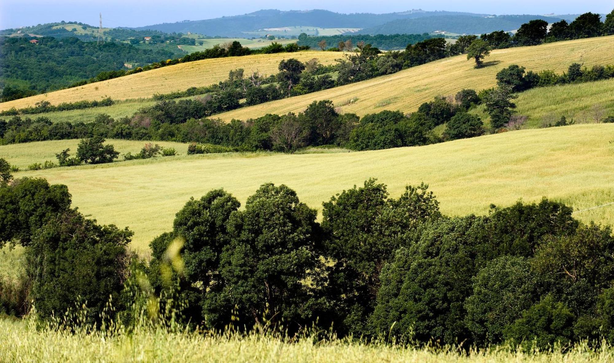 Saturnia Tuscany Country House ภายนอก รูปภาพ