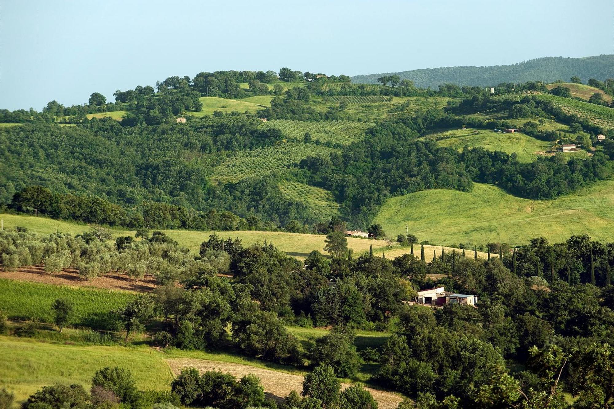 Saturnia Tuscany Country House ภายนอก รูปภาพ